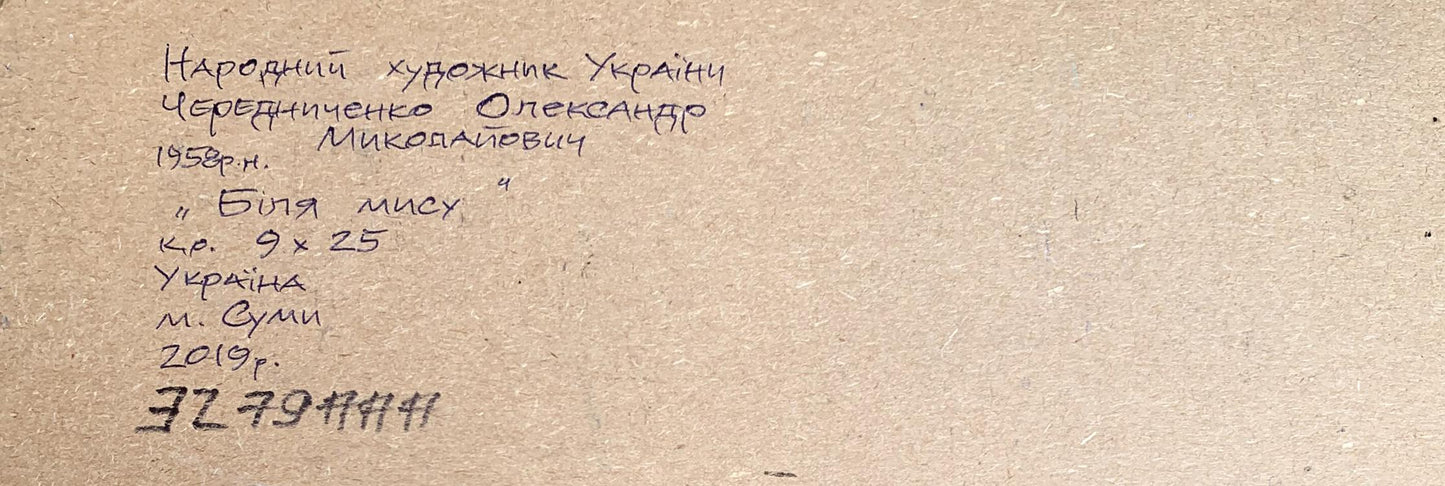 Oil painting Near the cape Alexander Cherednichenko