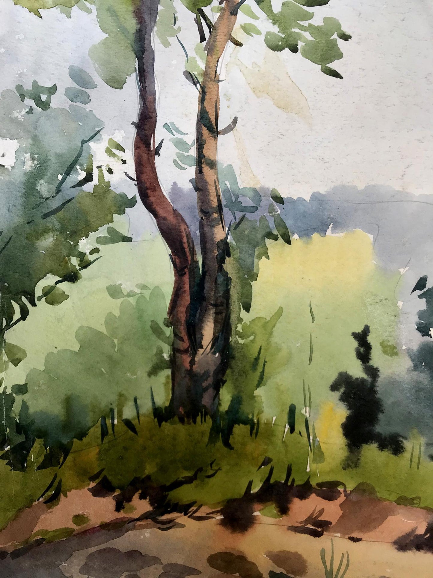 Watercolor painting Path to the forest Litvinov Oleg Arkad'yevich