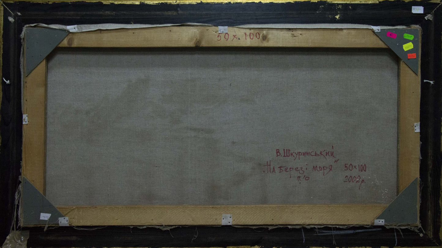 Description of the painting On the shore of the sea by the author Viktor Mykolayovych Shkurinsky