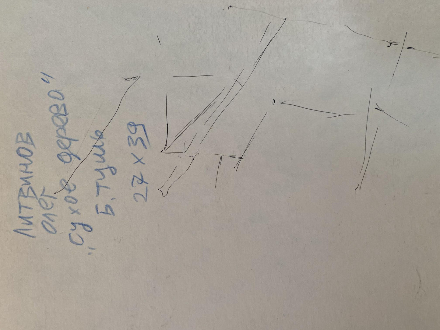 Ink, painting Dry wood Litvinov Oleg Arkad'yevich