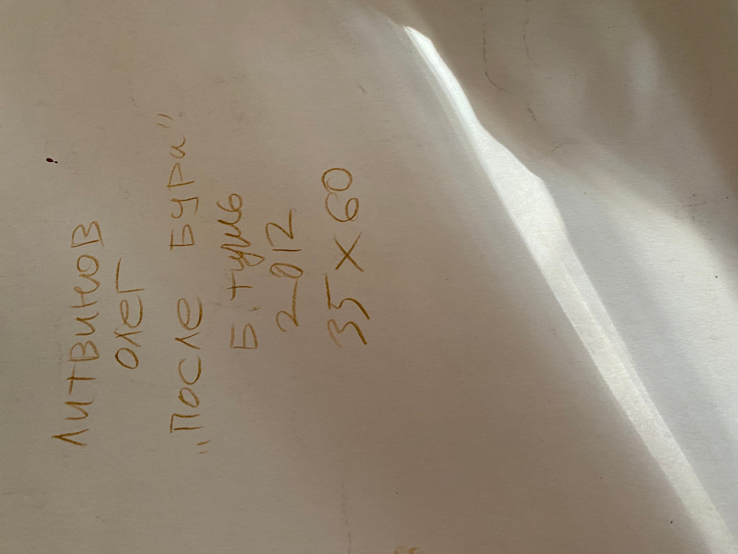 Ink, painting After the storm Litvinov Oleg Arkad'yevich