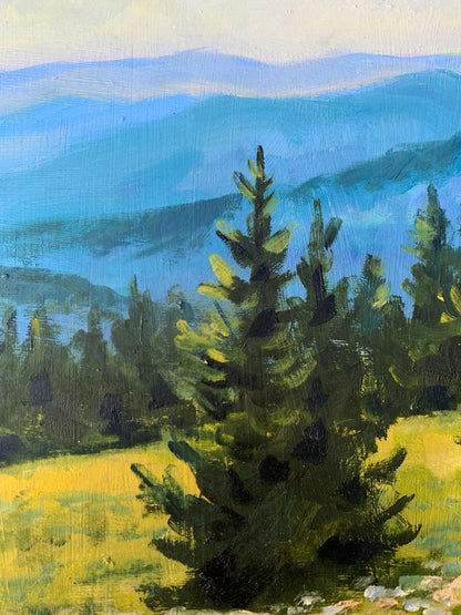 Oil painting Mountain Valley Valentina Simashchuk