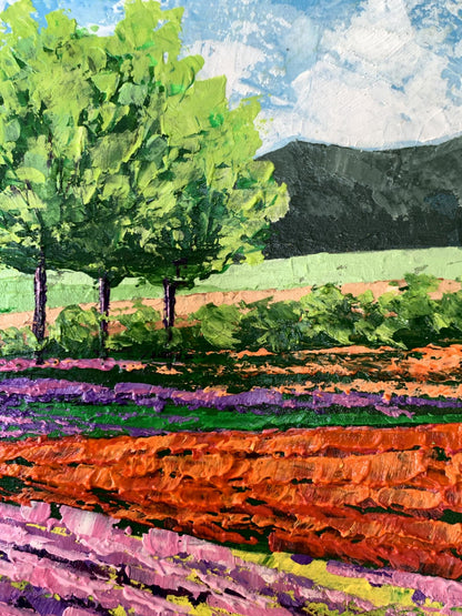 Oil painting Flower fields near the mountains V. Zadorozhnya