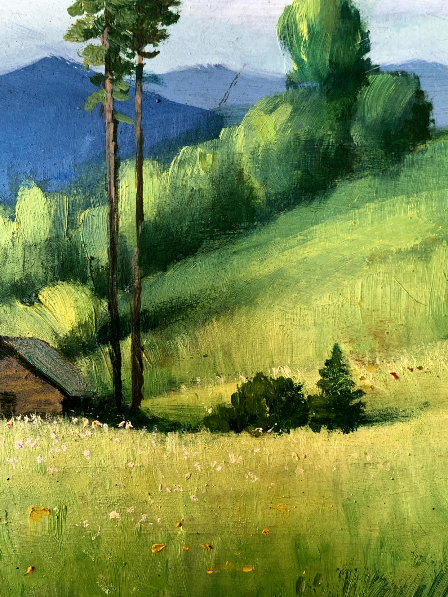 Oil painting A lonely house in the mountains Mykhailo Burdylo