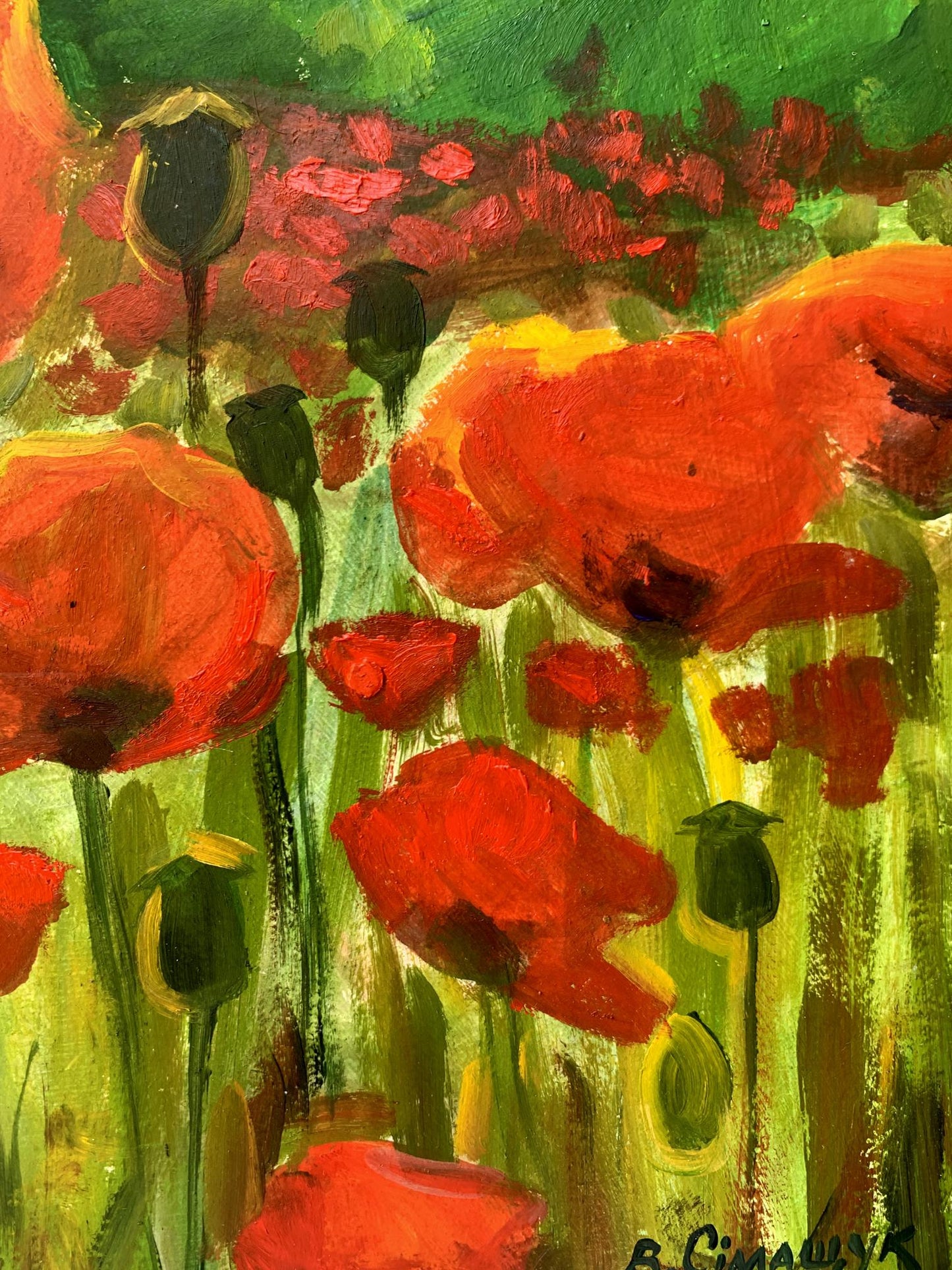 Oil painting Poppies in the field Valentina Simashchuk