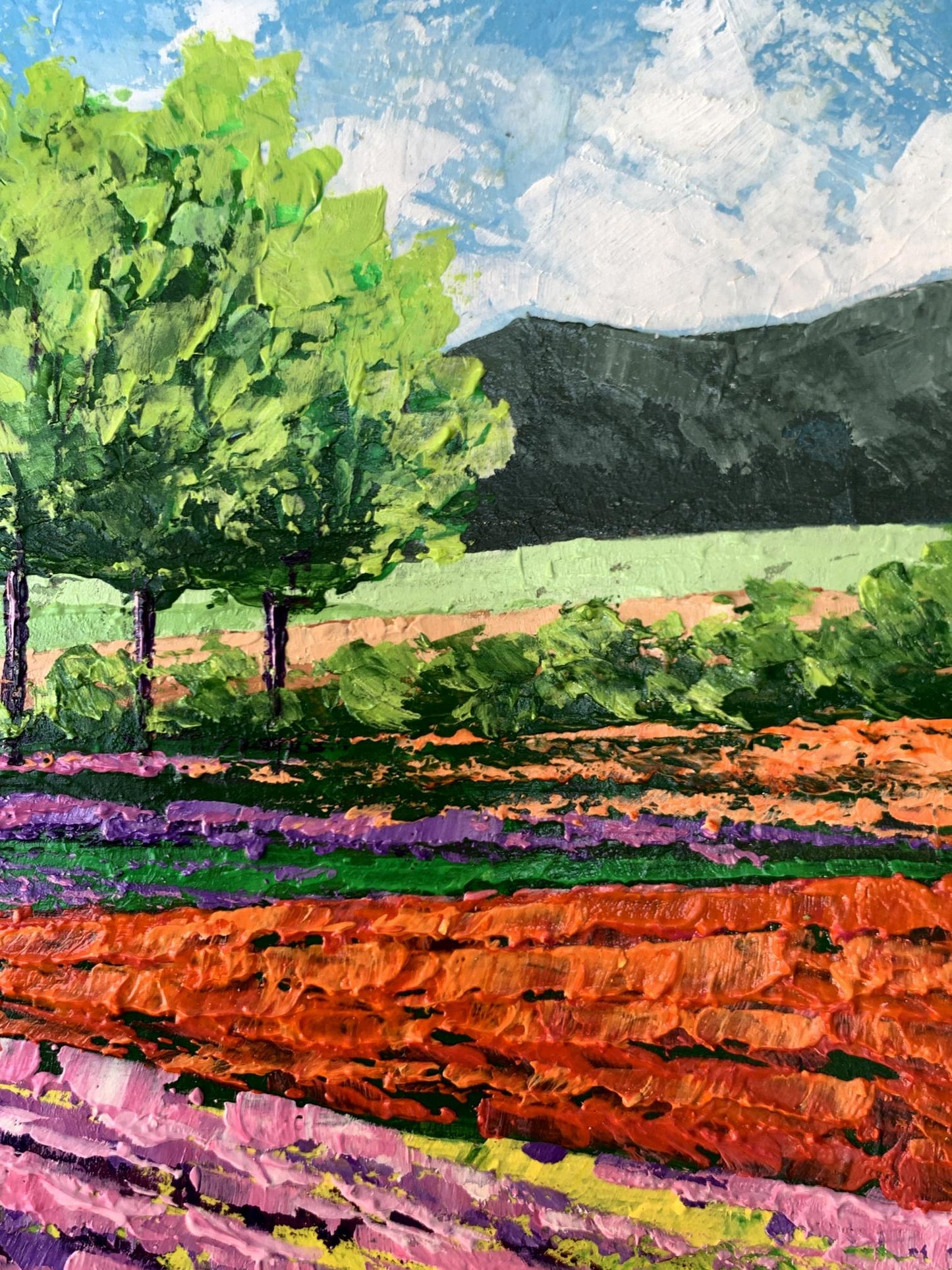 Oil painting Flower fields near the mountains V. Zadorozhnya