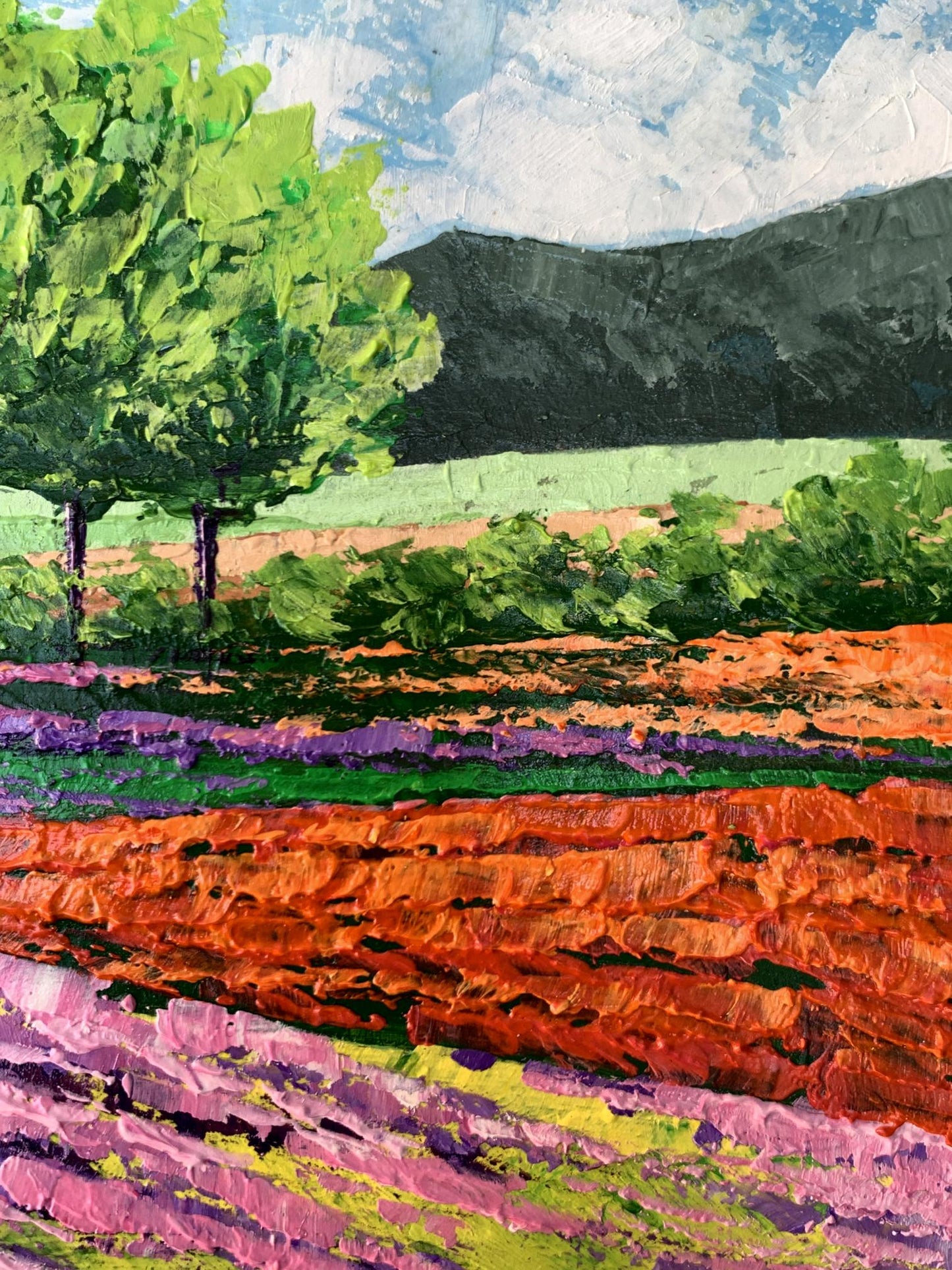 Oil painting Flower fields near the mountains V. Zadorozhnya