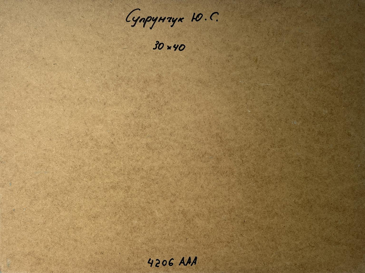 OIl painting Quiet village in winter Yuriy Suprunchuk