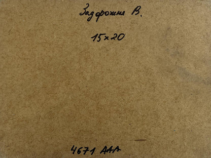 Oil painting Romantic flaming evening V. Zadorozhnya