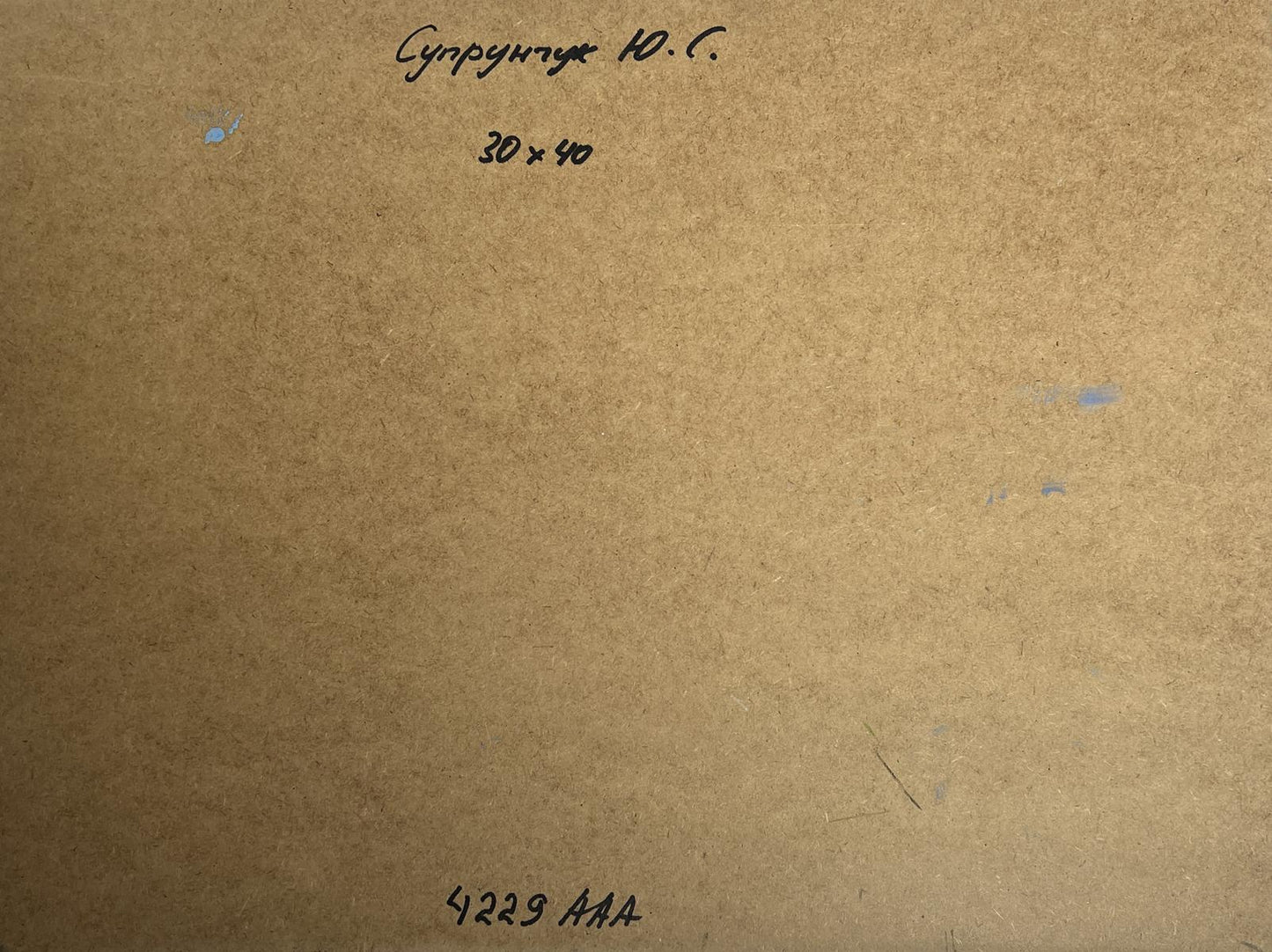 Oil painting Sea and village coziness Yuriy Suprunchuk