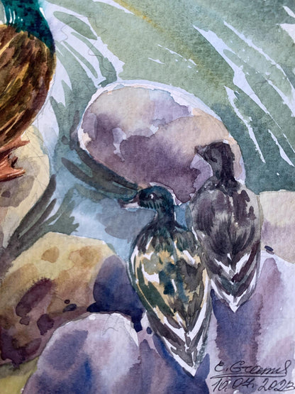 Watercolor painting Ducks by the pond Svetlana Gramm