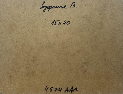 Oil painting Sounds of birds over the summer expanse V. Zadorozhnya