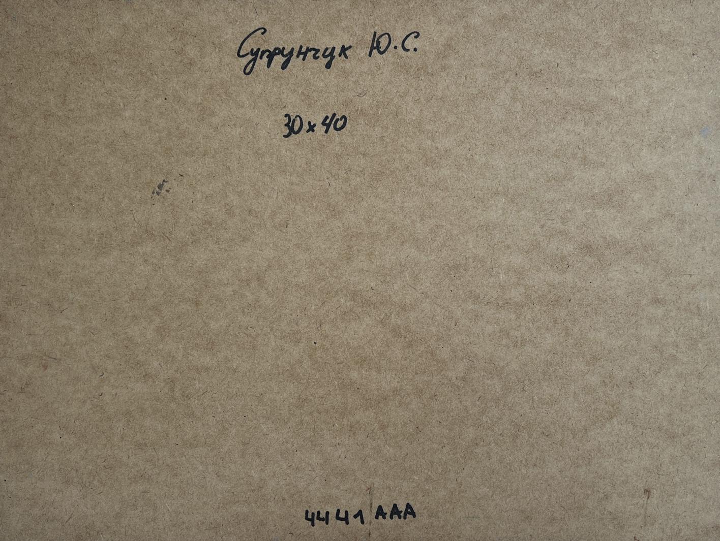 Oil painting Sailing on a yacht Yuriy Suprunchuk