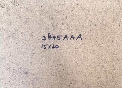 Oil painting Flower fields near the mountains V. Zadorozhnya