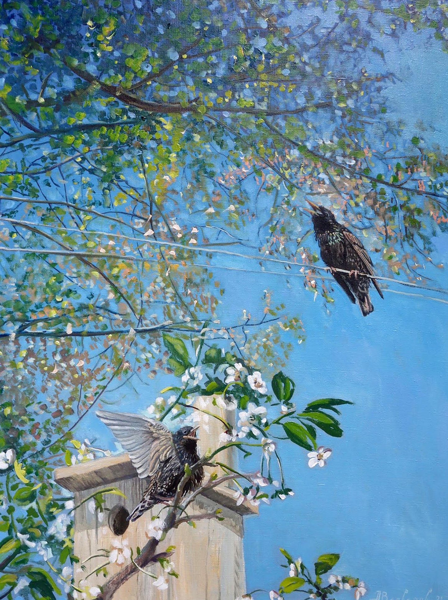 Oil painting Starling Varvarov Anatoly Viktorovich