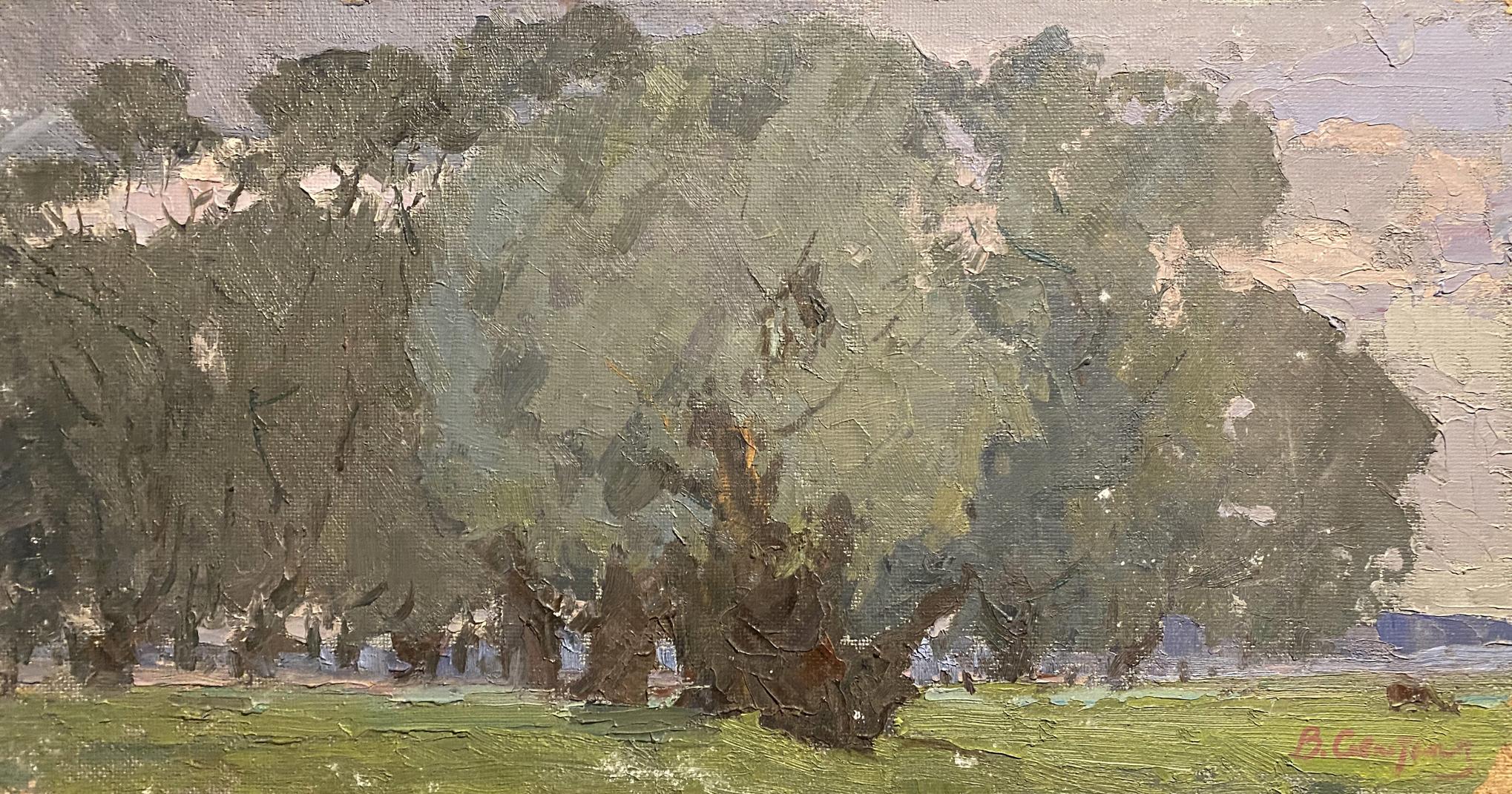 Oil painting Old Willow Viktor Sevastiyanov
