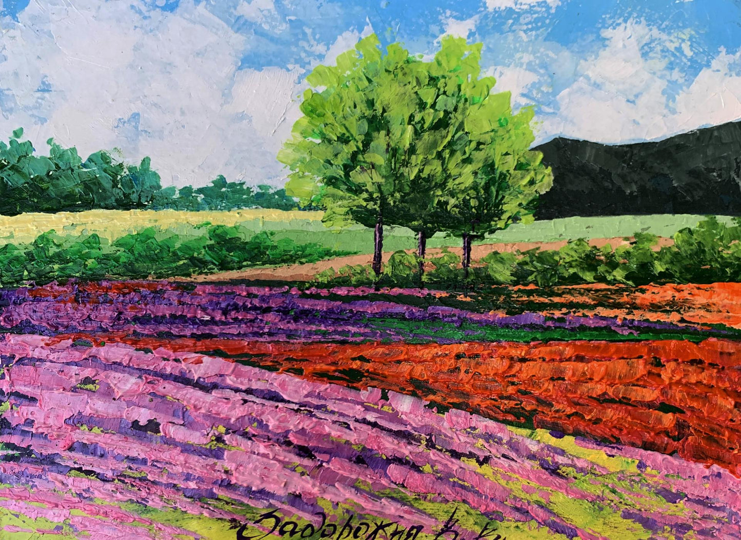 Oil painting Flower fields near the mountains V. Zadorozhnya