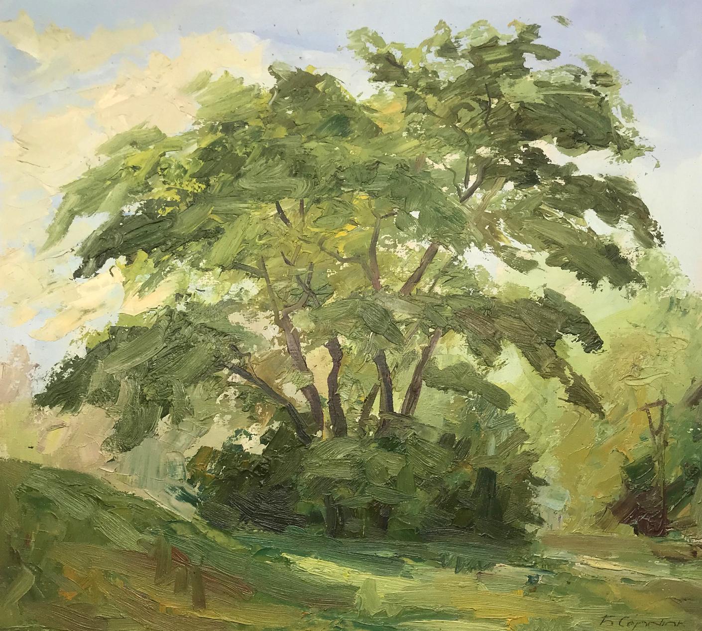 Oil painting Oak trees Boris Serdyuk
