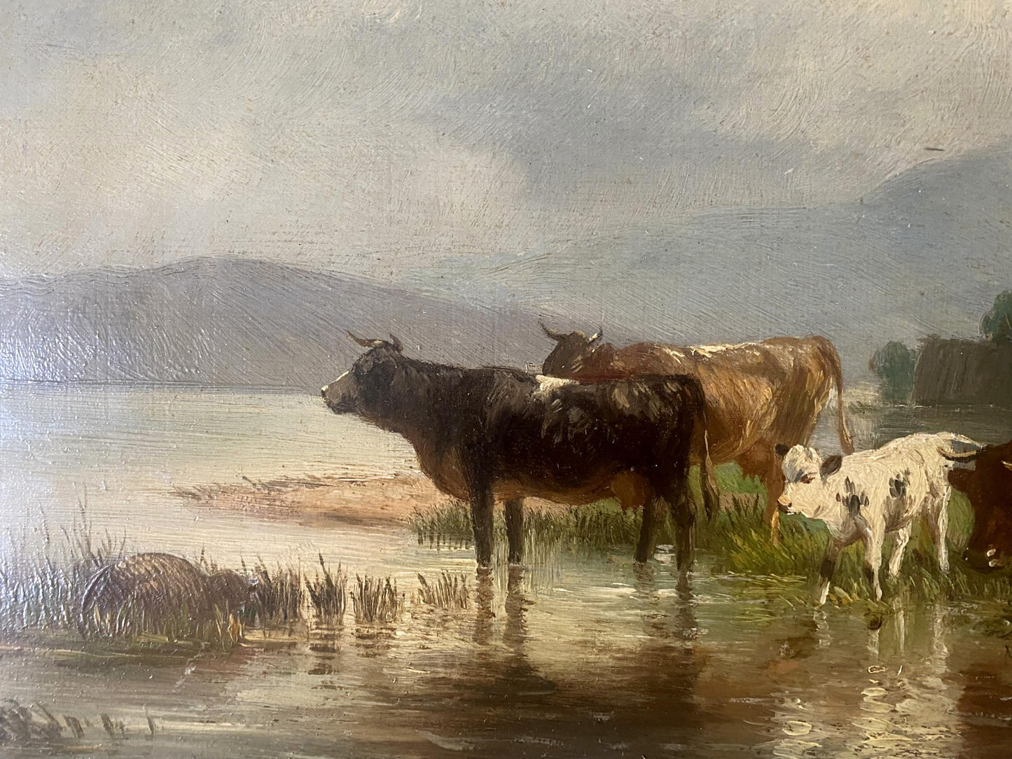 Oil painting Cows at the waterhole European artist