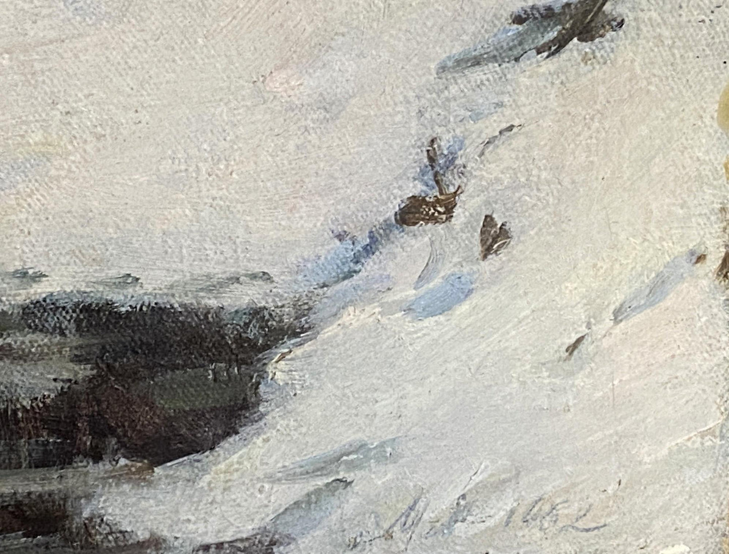 Oil painting Ducks in the lake Maksimenko Alexander Grigorievich
