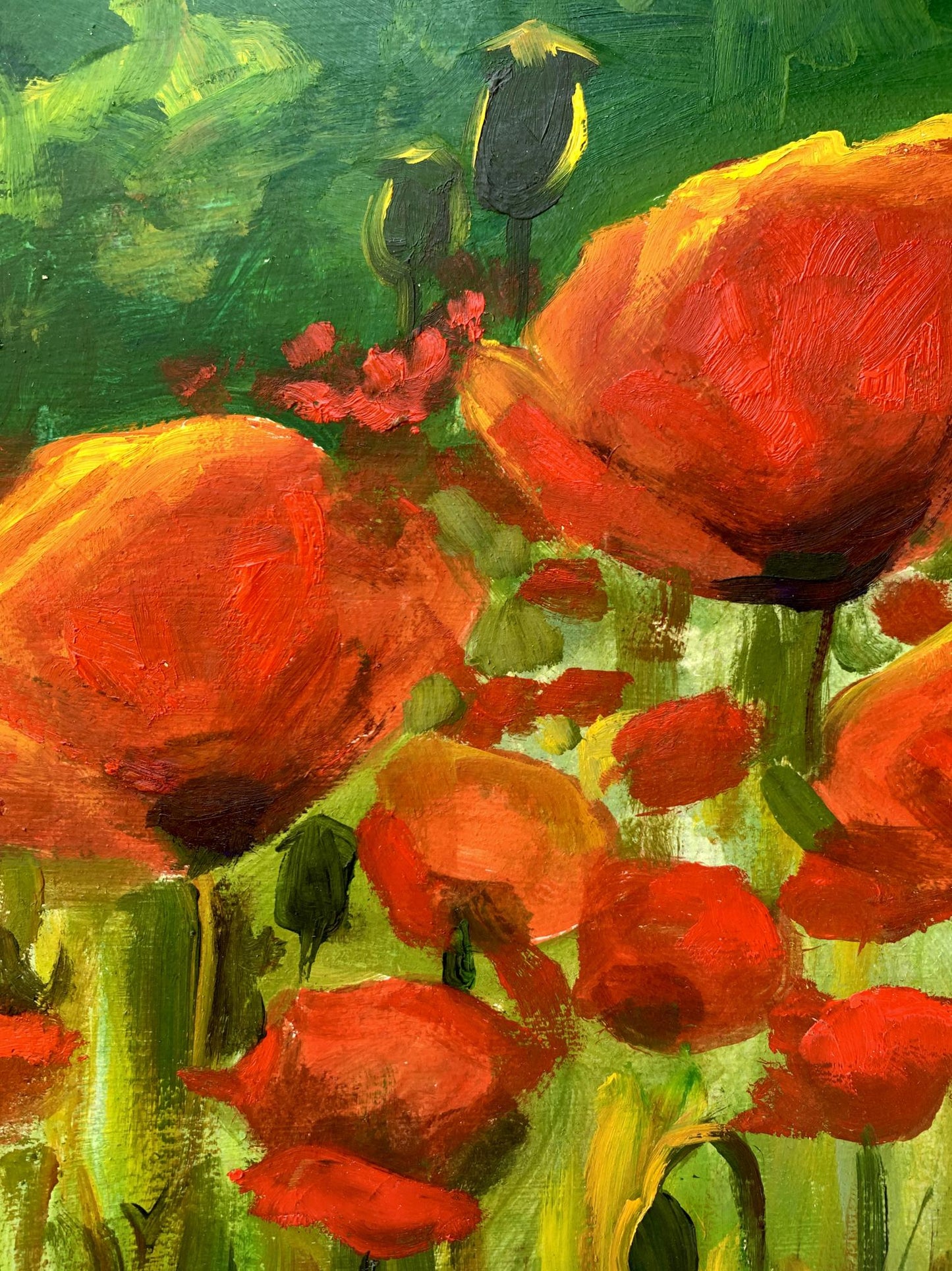 Oil painting Poppies in the field Valentina Simashchuk