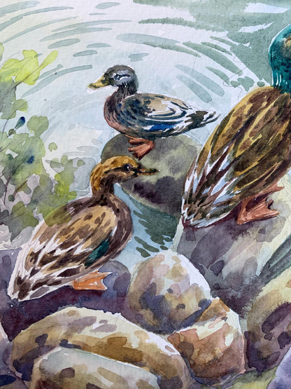 Watercolor painting Ducks by the pond Svetlana Gramm