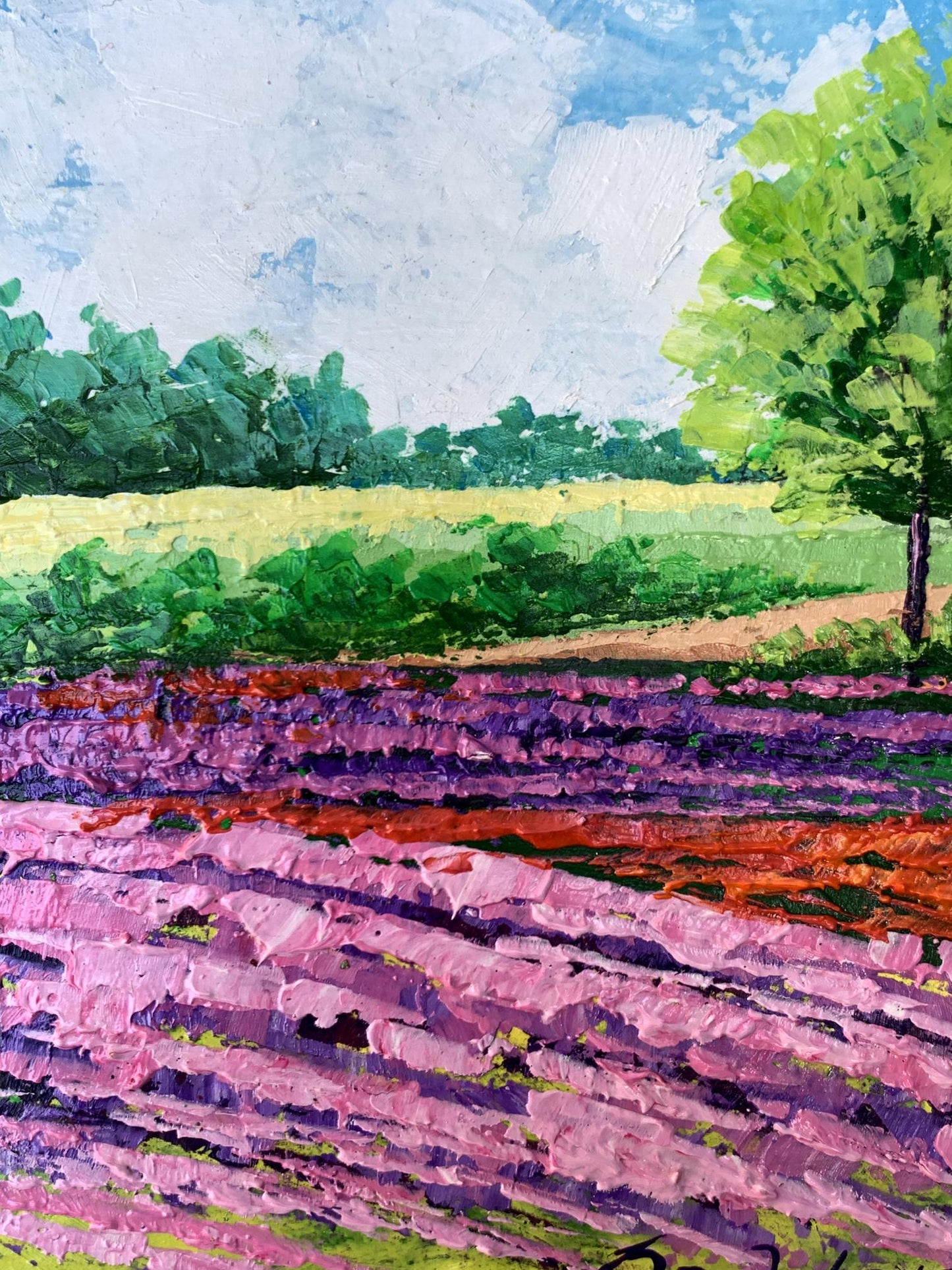 Oil painting Flower fields near the mountains V. Zadorozhnya