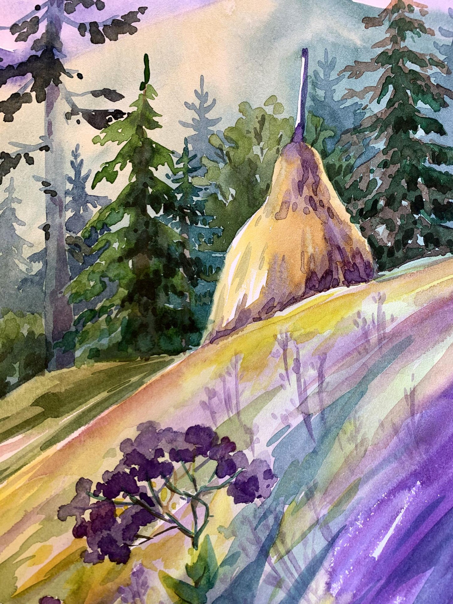 Watercolor painting Carpathian meadows Svetlana Gramm