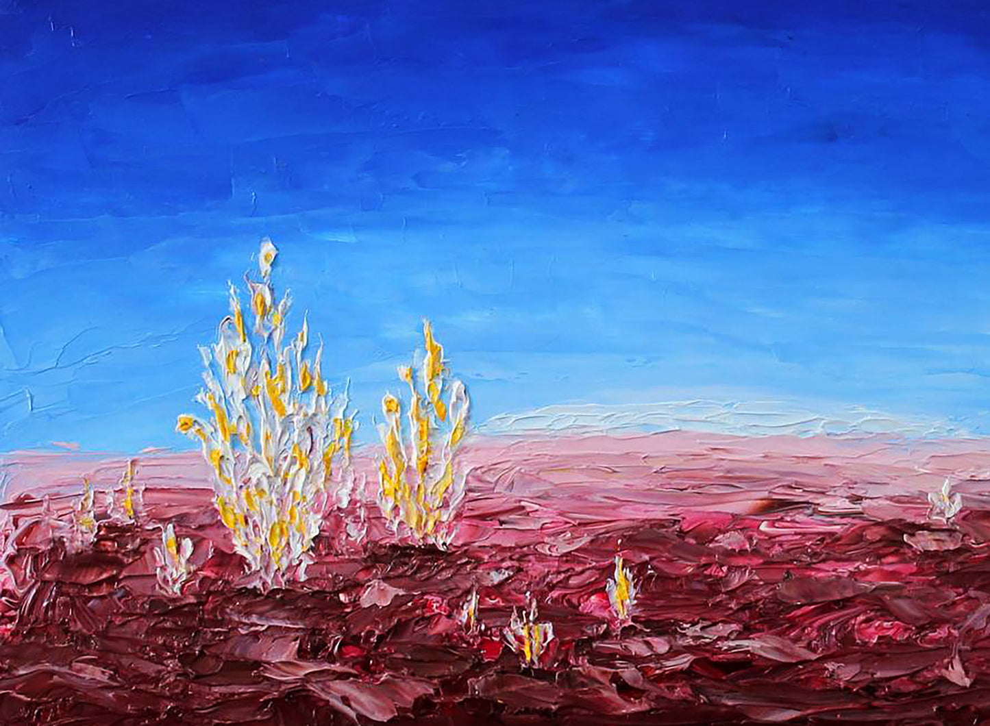 Oil painting White ahgae landscape Andriy Klishyn