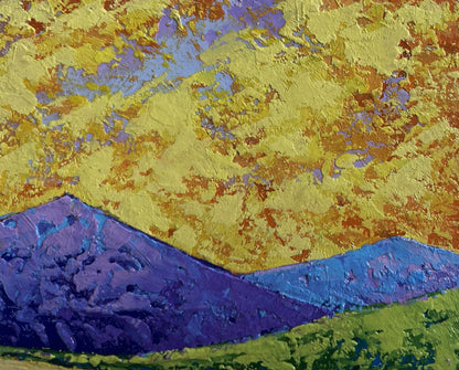 Oil painting The sun's rays glide across the meadows V. Zadorozhnya