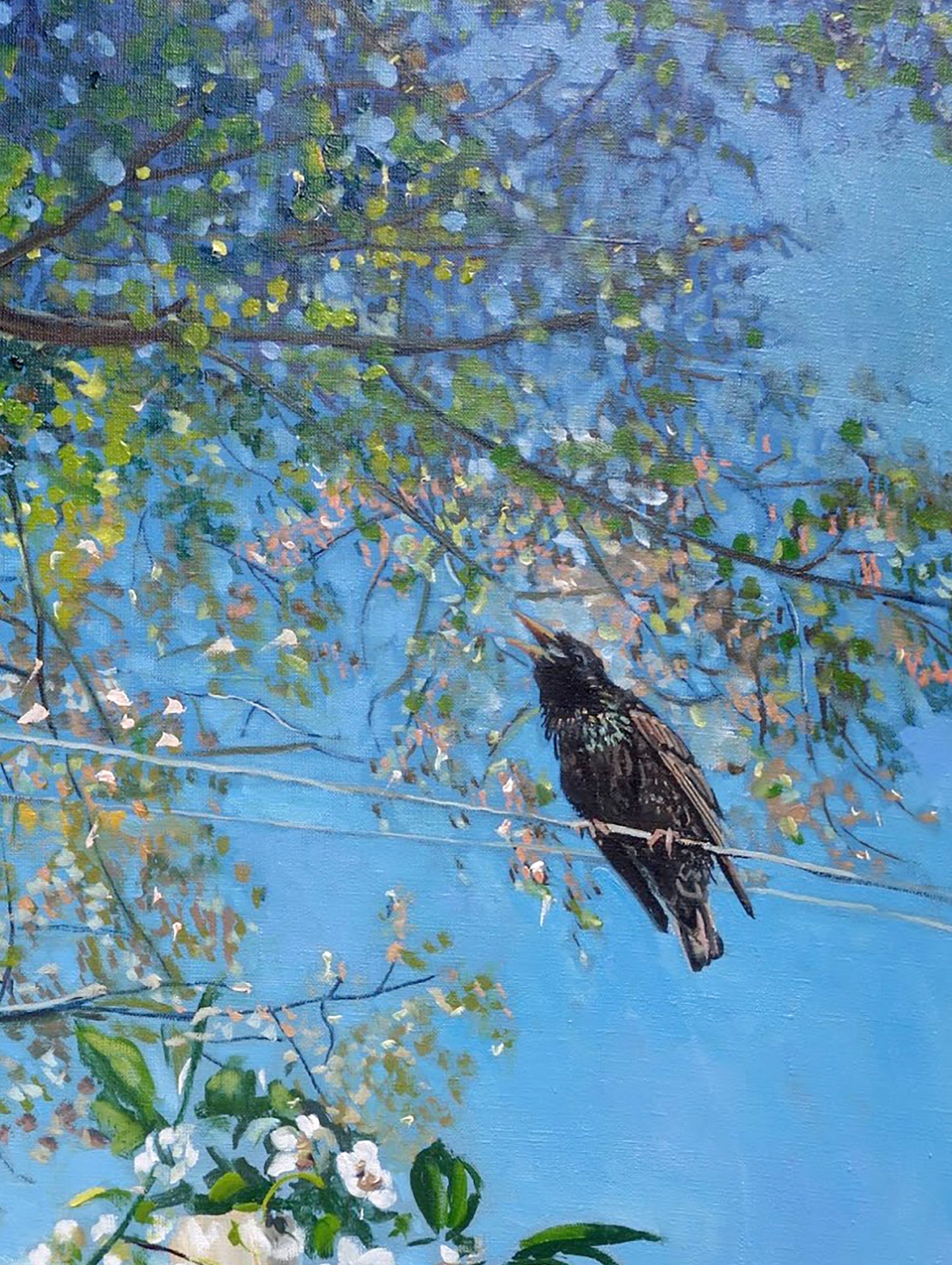 Oil painting Starling Varvarov Anatoly Viktorovich