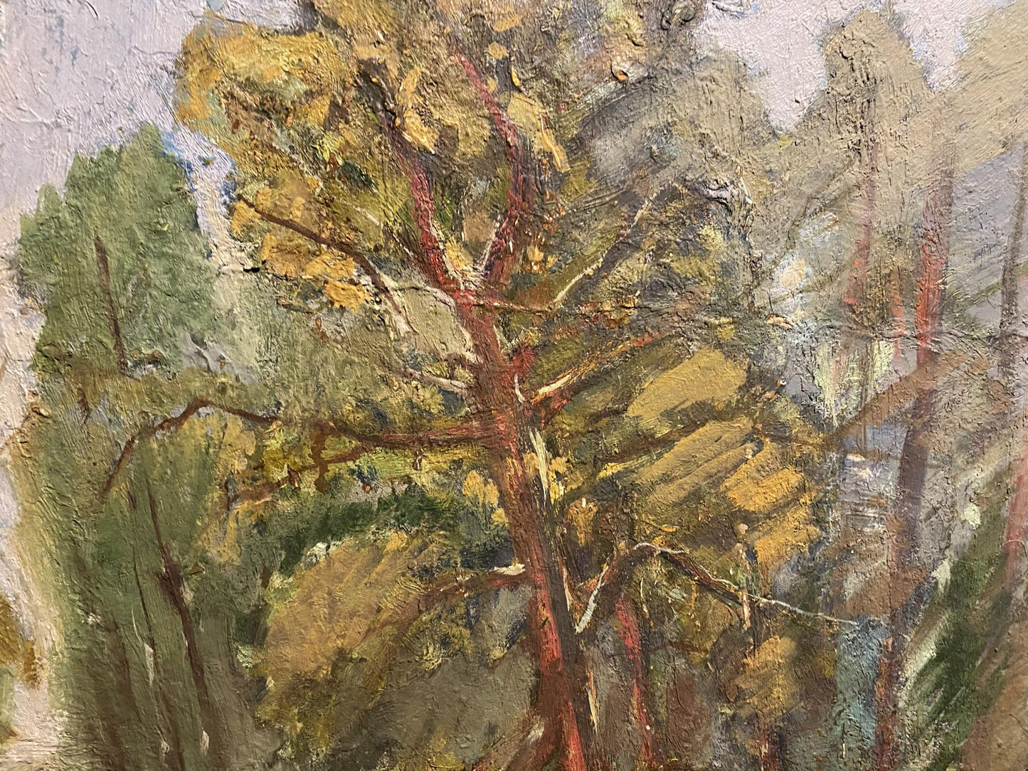 Oil painting Summer forest Unknown artist
