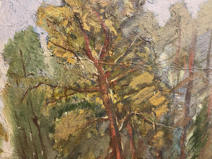 Oil painting Summer forest Unknown artist