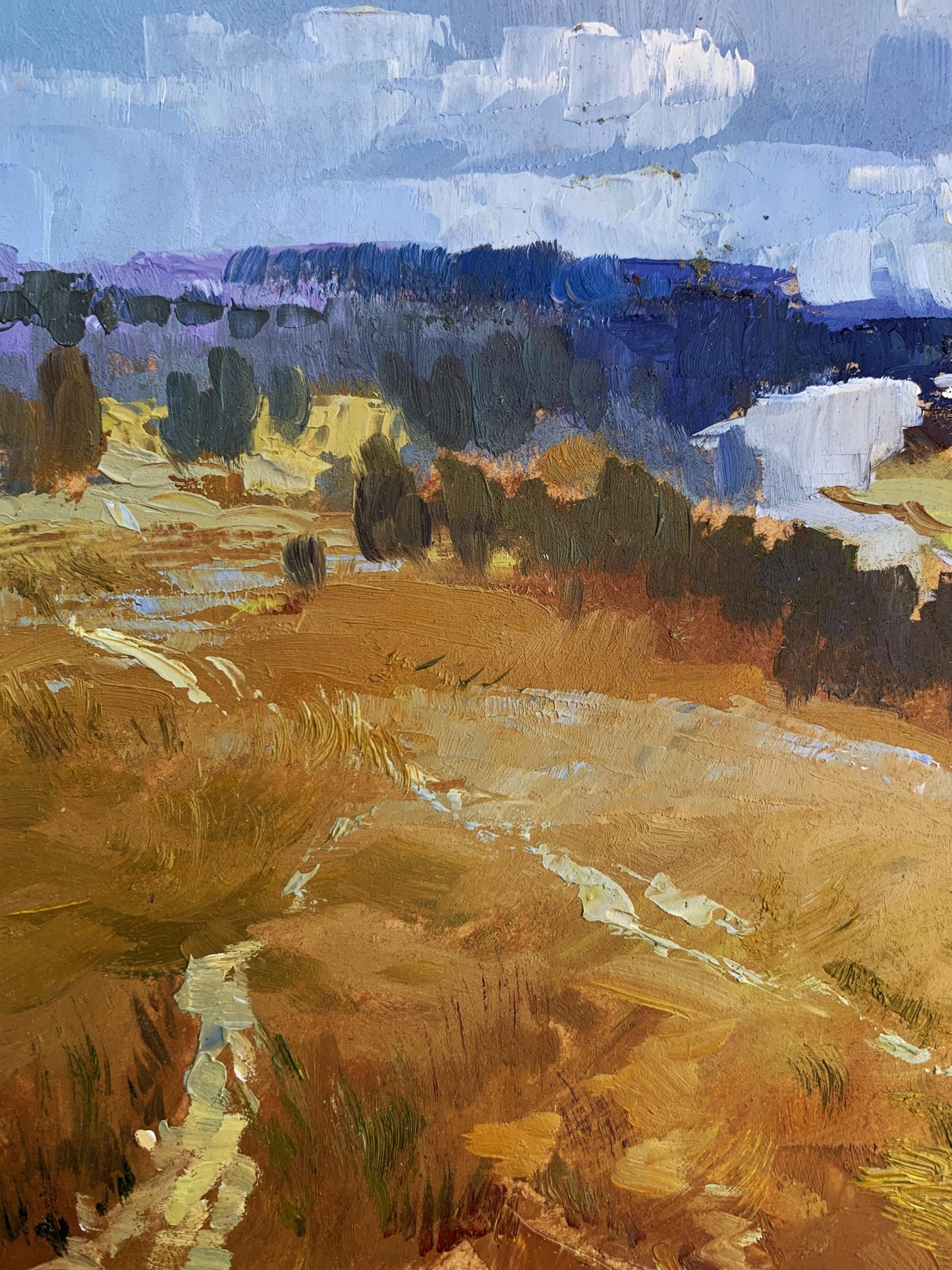 OIl painting The river flows into the distance Yuriy Suprunchuk