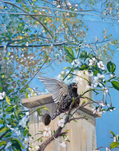 Oil painting Starling Varvarov Anatoly Viktorovich