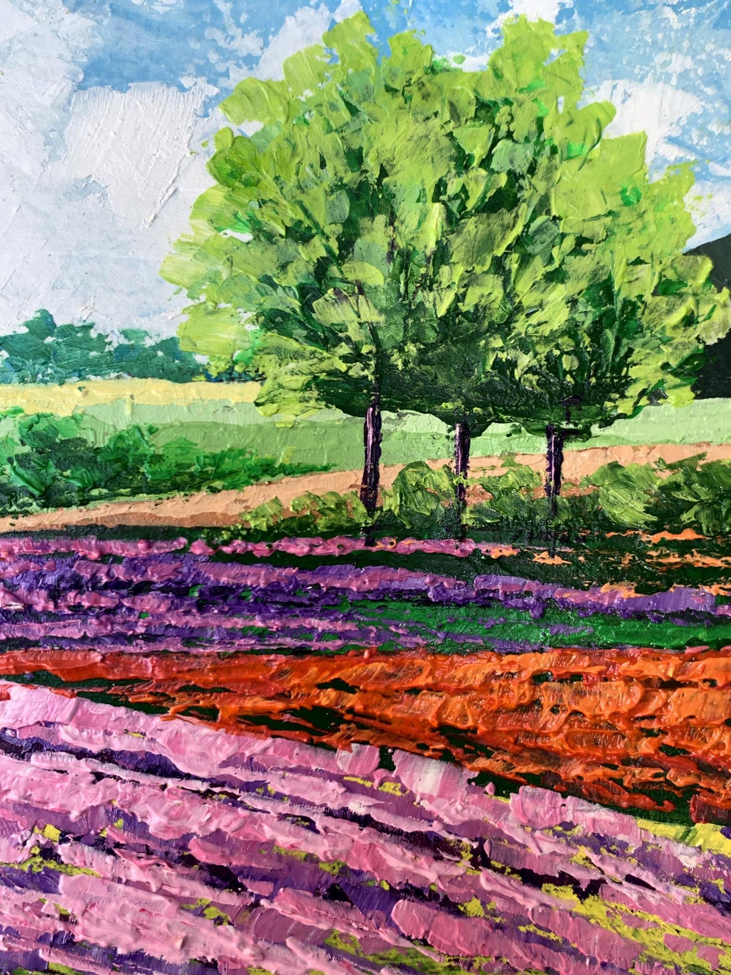 Oil painting Flower fields near the mountains V. Zadorozhnya