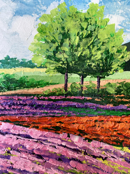 Oil painting Flower fields near the mountains V. Zadorozhnya