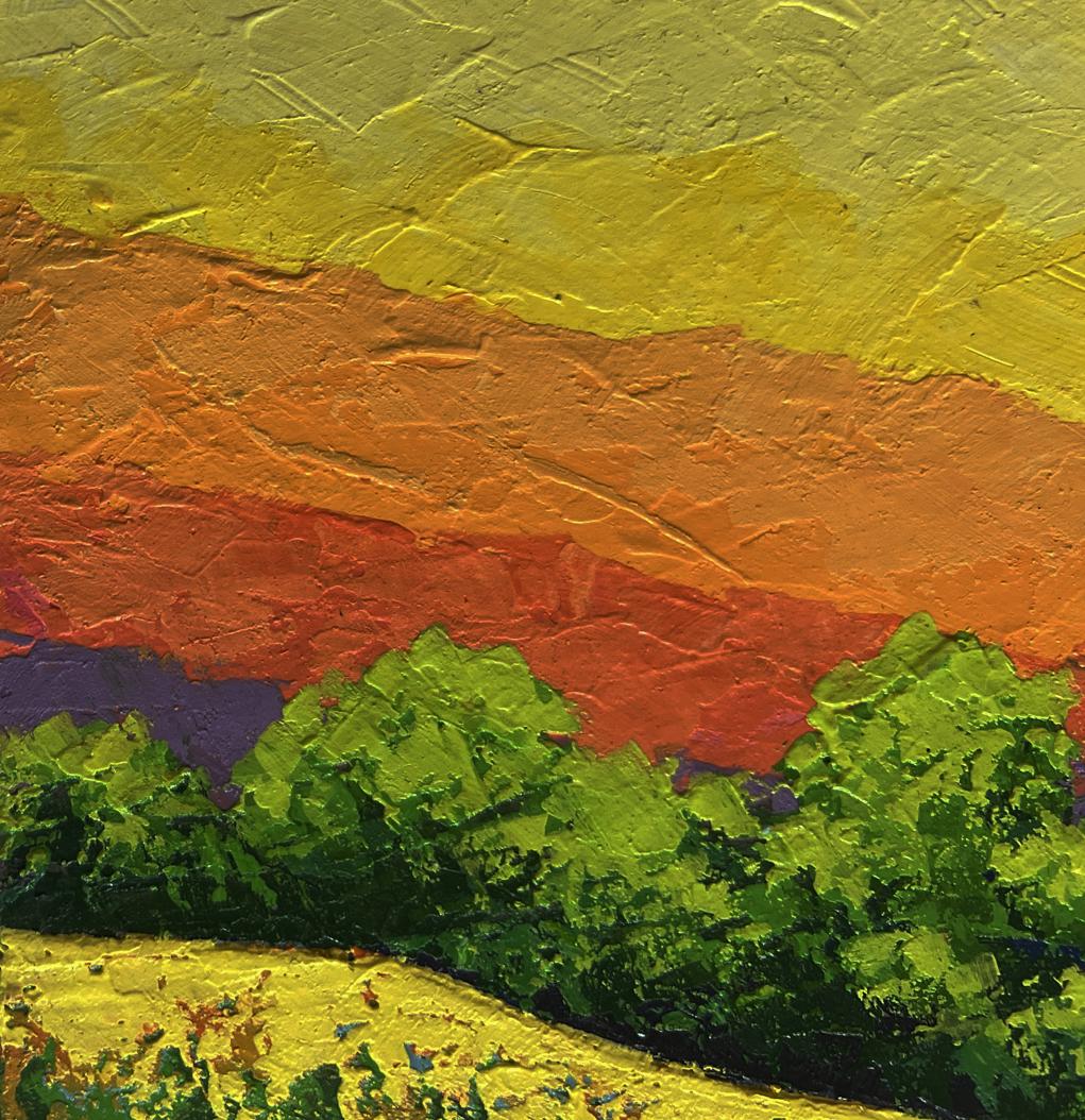 Oil painting Different shades of sunset V. Zadorozhnya