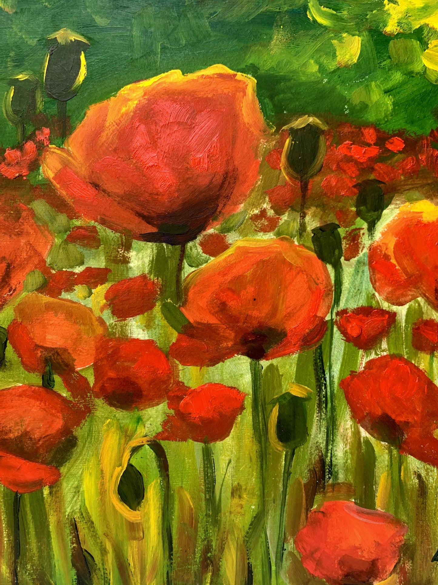 Oil painting Poppies in the field Valentina Simashchuk