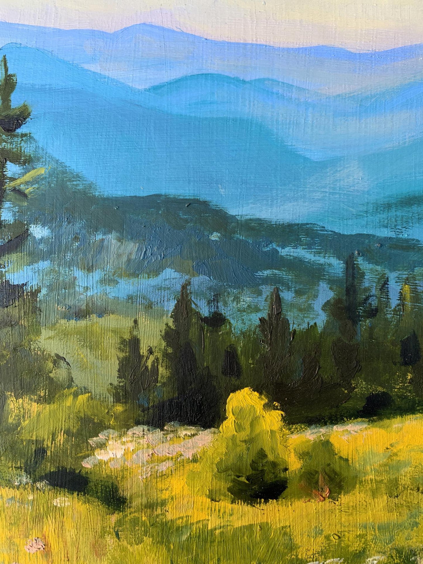 Oil painting Mountain Valley Valentina Simashchuk