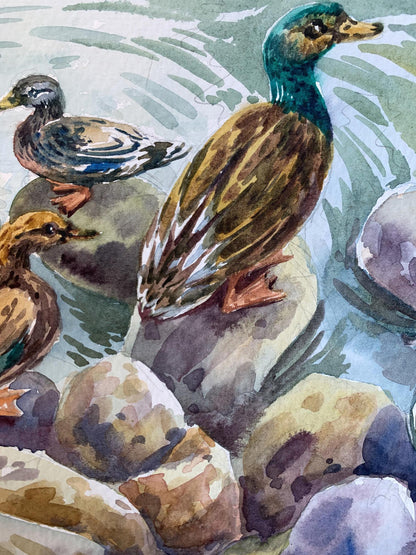 Watercolor painting Ducks by the pond Svetlana Gramm