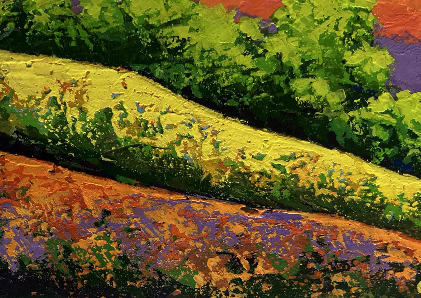 Oil painting Different shades of sunset V. Zadorozhnya