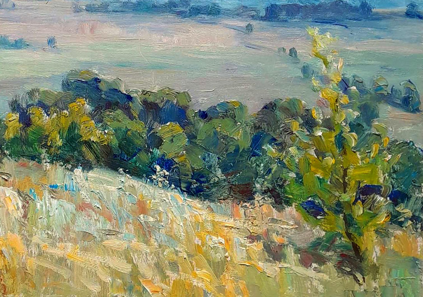 Oi painting Fresh summer air Ivan Kovalenko