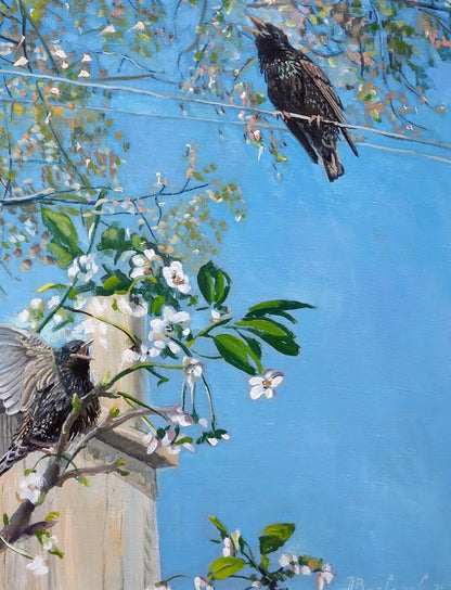 Oil painting Starling Varvarov Anatoly Viktorovich