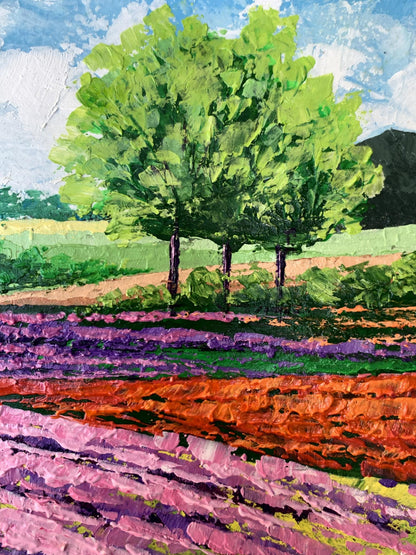 Oil painting Flower fields near the mountains V. Zadorozhnya