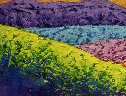 Oil painting Summer flower fields and sunset V. Zadorozhnya