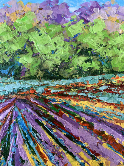 Oil painting Sunny field near the forest V. Zadorozhnya