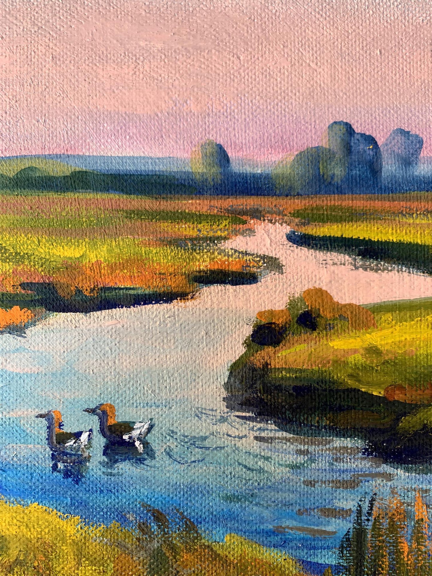 Oil painting Ducks in the river Valentina Simashchuk