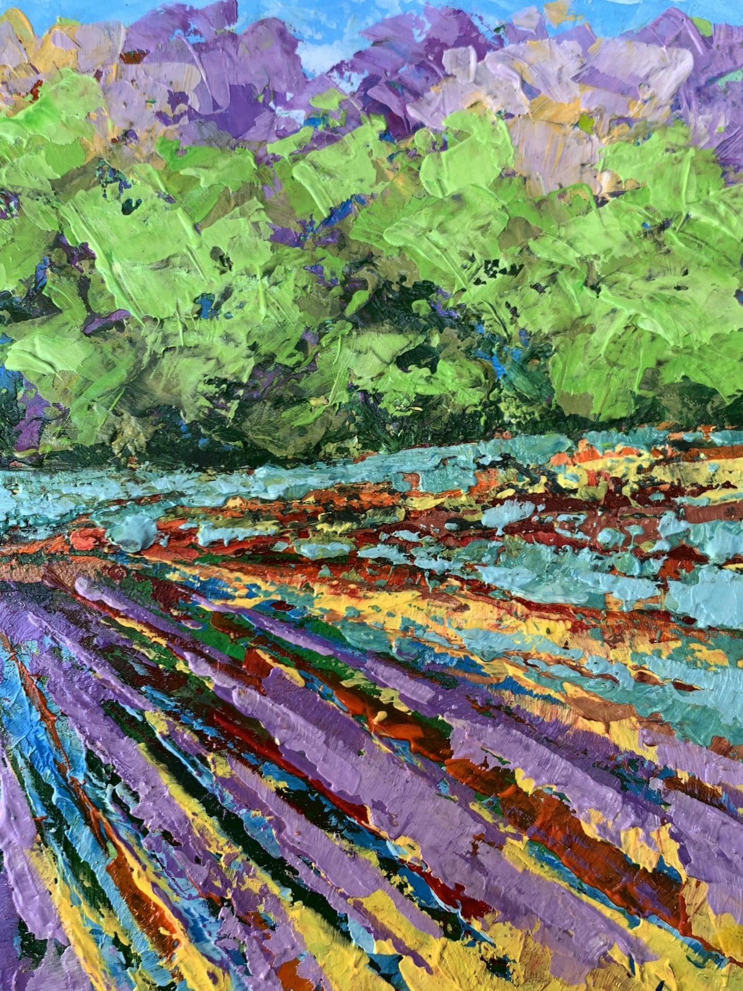 Oil painting Sunny field near the forest V. Zadorozhnya