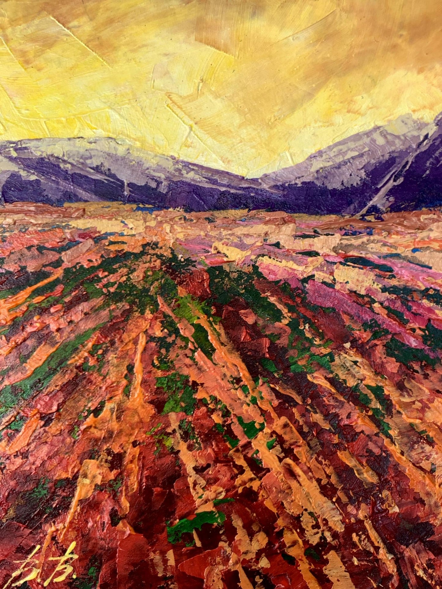 Oil painting Mountain sunset V. Zadorozhnya